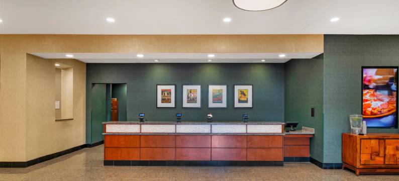 Drury Plaza 酒店圣路易斯布伦特伍德(Drury Plaza Hotel St Louis Brentwood)图片