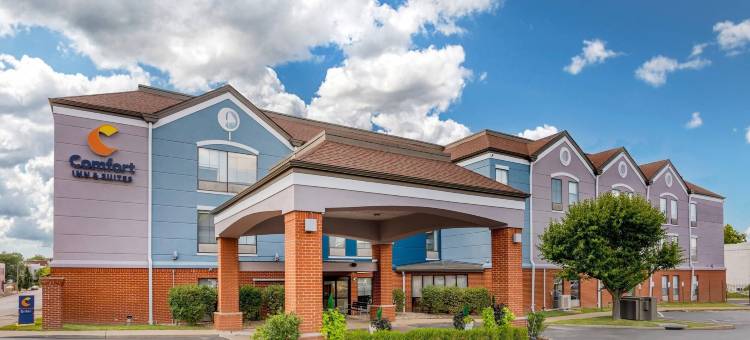 阿维烟酒店(Comfort Inn & Suites Saint Louis Lafayette Square)图片
