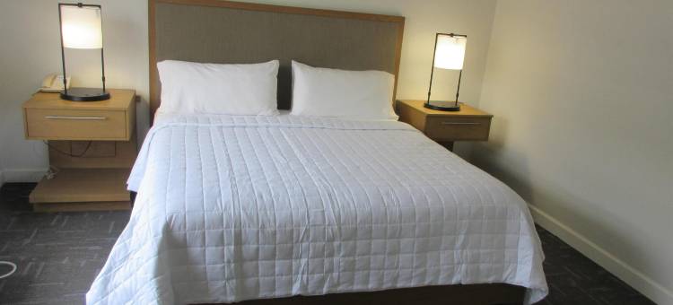 贝斯特韦斯特精品休斯敦市中心/会议中心酒店(Best Western Premier Houston Downtown/Convention Center Hotel)图片