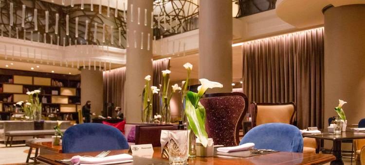 美憬阁索菲特布宜诺斯艾利斯布里克酒店(Sofitel Buenos Aires Recoleta)图片