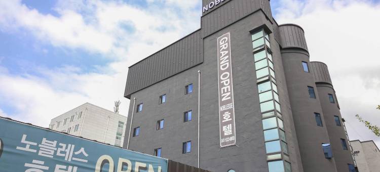 天安诺布莱斯酒店(Cheonan Noblesse Hotel)图片