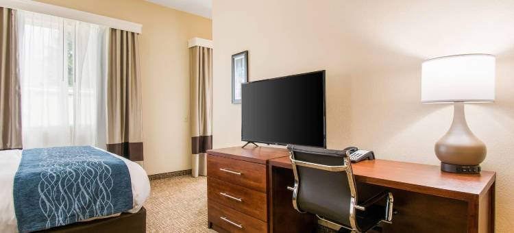 哈里斯堡赫尔希西舒适套房酒店(Comfort Inn & Suites Harrisburg - Hershey West)图片