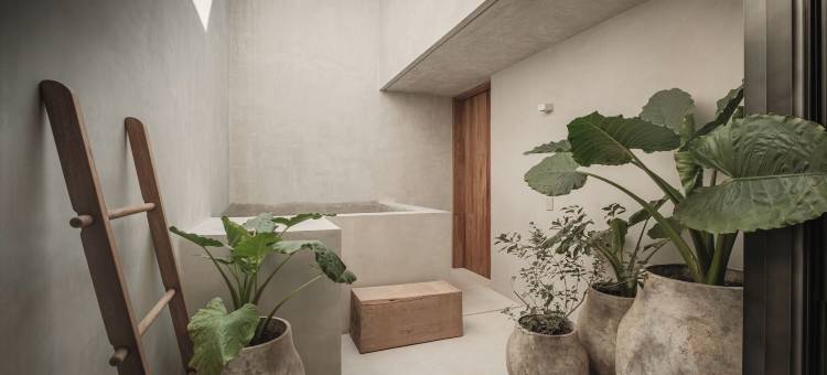 诺托齐卡特拉酒店(Notto Zicatela Hotel)图片