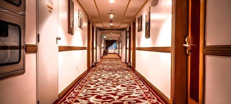 麗兹阿尔马地纳酒店(ALRITZ ALMADINAH HOTEL)图片