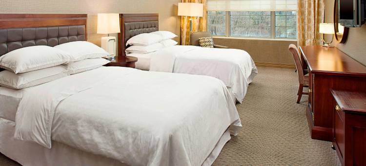 洛克维尔喜来登酒店(Sheraton Rockville)图片