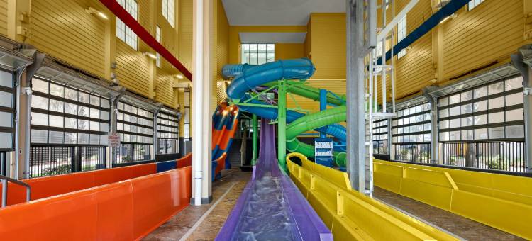 SpringHill Suites默特尔海滩海滨酒店(SpringHill Suites Myrtle Beach Oceanfront)图片