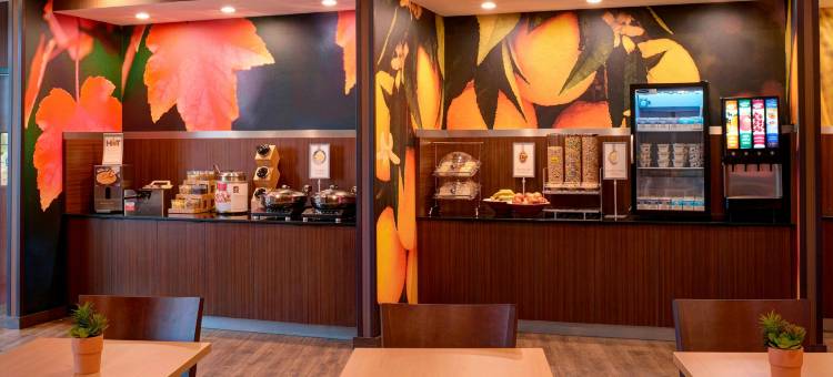 安娜堡伊普西兰蒂万枫酒店及套房(Fairfield Inn & Suites Ann Arbor Ypsilanti)图片