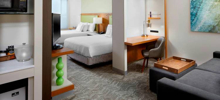 匹兹堡贝克利广场万豪SpringHill酒店(SpringHill Suites Pittsburgh Bakery Square)图片