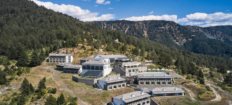 林大迈措翁大酒店(Grand Forest Metsovo - Leading Hotels of the World)图片