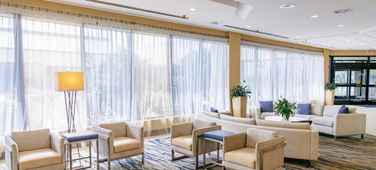 大西洋海滩海滨希尔顿逸林酒店(DoubleTree by Hilton Atlantic Beach Oceanfront)图片
