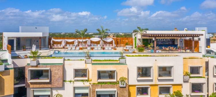 图兰雅乐轩酒店(Aloft Tulum)图片
