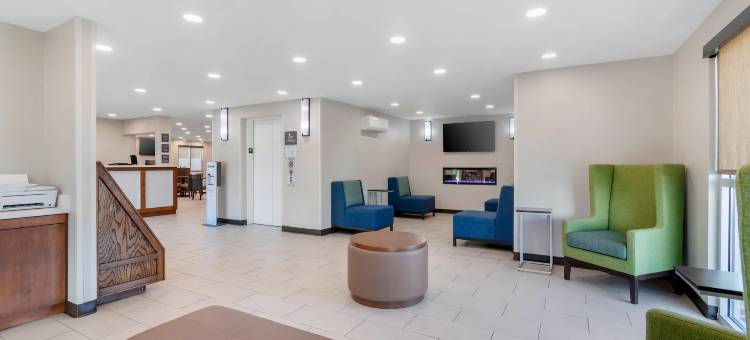 舒适套房酒店(Comfort Inn & Suites)图片