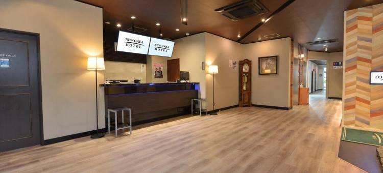 新盖亚酒店-药院(Hotel New Gaea Yakuin)图片