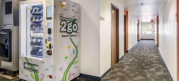 Motel 6 Canton, GA图片