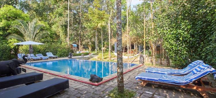 Amritara Shalimar香料园度假村和水疗中心(Amritara Shalimar Spice Garden Resort & Spa)图片