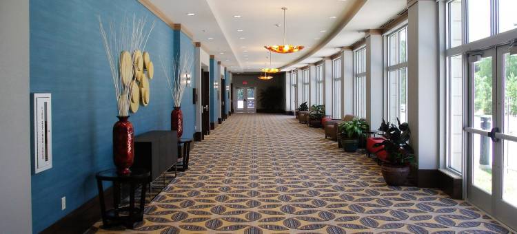 Crowne Plaza 雪兰(Crowne Plaza Shenandoah - Woodlands Area)图片