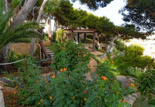 Hotel la Estrella del Mediterráneo Hotel Overview