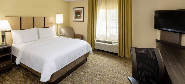 Candlewood Suites 温莎锁布拉德利ARPT(Candlewood Suites Windsor Locks Bradley Arpt)图片