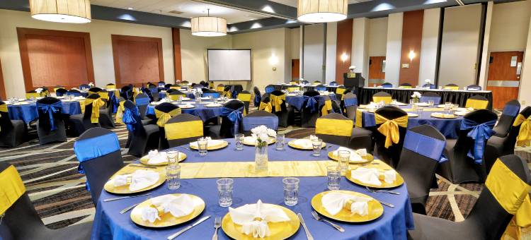 圣彼得堡北克利尔沃特假日酒店(Holiday Inn ST. Petersburg N- Clearwater)图片