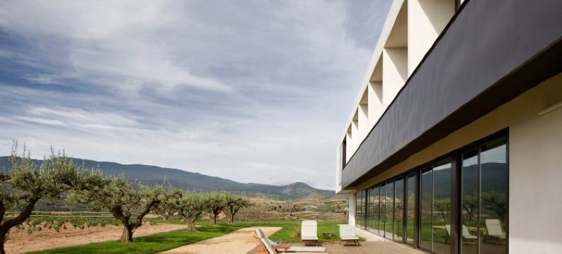 博德加芬卡洛斯阿迪诺斯酒店(Hotel-Bodega Finca de Los Arandinos)图片