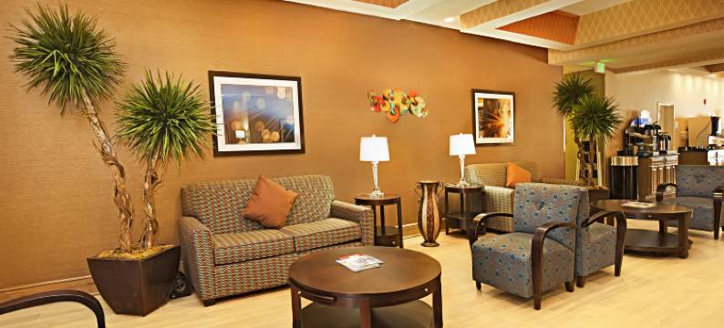 智选假日套房酒店伯锡尔城(Holiday Inn Express & Suites BOSSIER CITY by IHG)图片