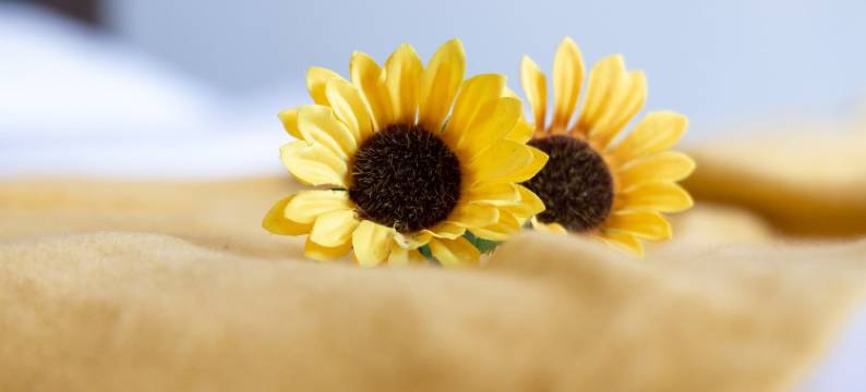 海蔓蔓度假公寓(海田路2号分店)图片