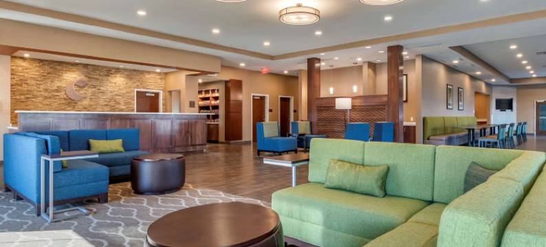 哈里斯堡西坎普希尔舒适套房酒店(Comfort Suites Camp Hill-Harrisburg West)图片