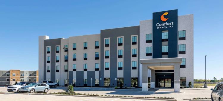 舒适酒店及套房巴尔奇斯普林斯 - 达拉斯东南(Comfort Inn & Suites Balch Springs - SE Dallas)图片