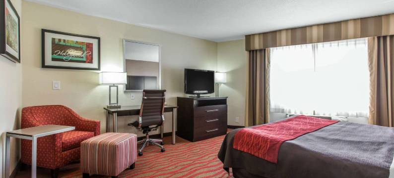 洛杉矶近好莱坞舒适酒店(Comfort Inn Los Angeles near Hollywood)图片