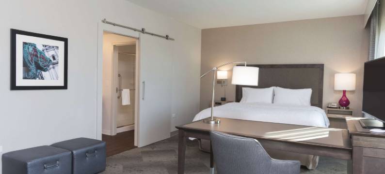 芝加哥绍姆堡希尔顿欢朋酒店及套房(Hampton Inn & Suites Chicago/Schaumburg)图片