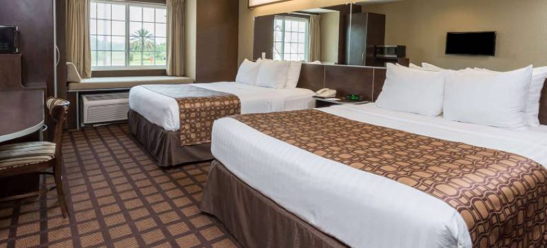 杰克逊维尔机场麦客达温德姆酒店及套房(Microtel Inn & Suites by Wyndham Jacksonville Airport)图片