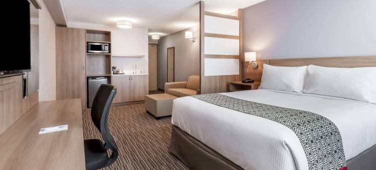 卡斯尔曼麦客达套房酒店(Microtel by Wyndham Casselman)图片