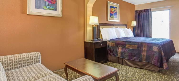 坦帕戴斯套房酒店-近依波城(Days Inn & Suites by Wyndham Tampa near Ybor City)图片