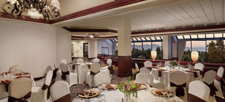 西雅图机场希尔顿逸林酒店(DoubleTree by Hilton Seattle Airport)图片