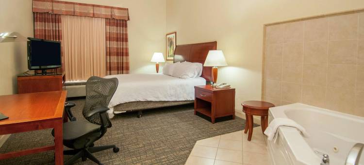 杰克逊明珠希尔顿花园酒店(Hilton Garden Inn Jackson Pearl)图片