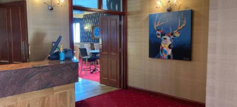 潘缪尔阿姆斯酒店(The Panmure Arms Hotel)图片