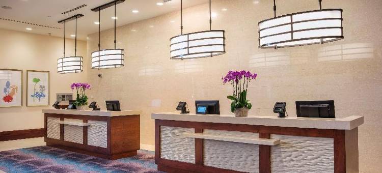 奥兰多拉斯帕梅拉斯希尔顿分时度假俱乐部酒店(Hilton Grand Vacations Club Las Palmeras Orlando)图片