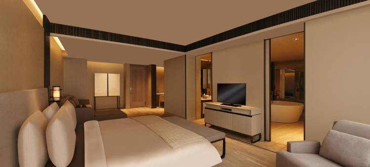 新德里玫瑰园酒店(Roseate House New Delhi)图片