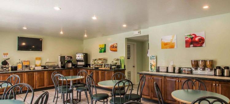 安可尼塔斯舒适酒店-乐高乐园附近(Comfort Inn Encinitas Near Legoland)图片