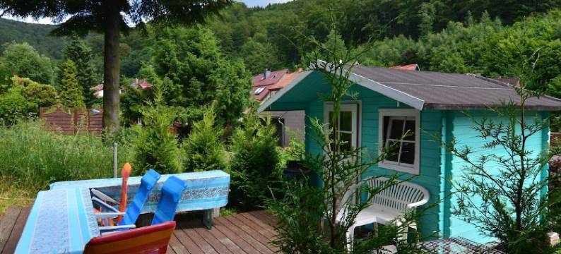 Vintage Holiday Home in Lonau With Pool图片