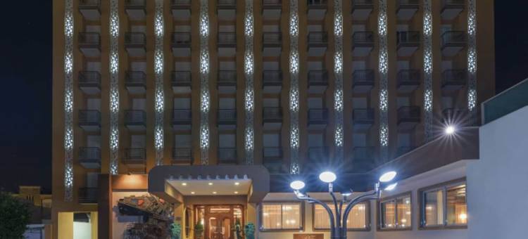 戴勒帕姆酒店(Hotel Delle Palme)图片