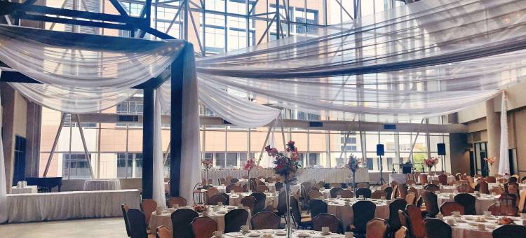 圣保罗市区希尔顿逸林酒店(DoubleTree by Hilton St Paul Downtown)图片