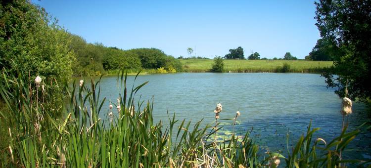 科尔斯顿哈尔农家住宿加早餐旅馆(Colston Hall Farmhouse B&B)图片