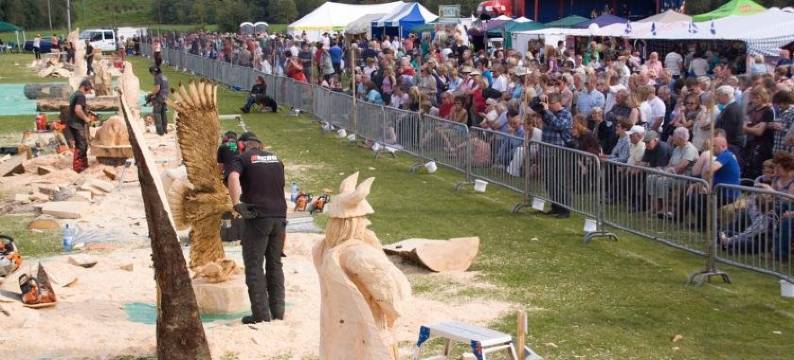 The Pines Country Guest House图片