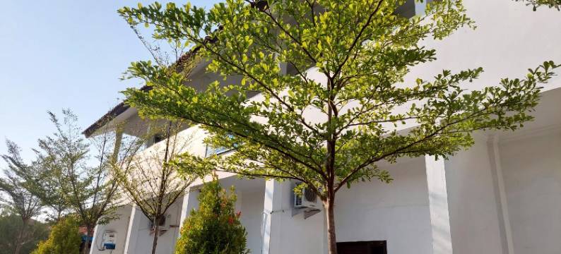 直葛巴哈里BPPP住宅(Bahari Residence Bppp Tegal)图片