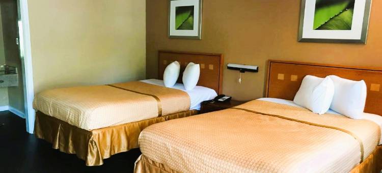 OYO 塔拉哈西市中心酒店汽车旅馆(OYO Hotel Tallahassee Downtown)图片