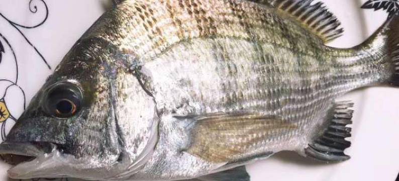 福鼎瑶欣民宿图片