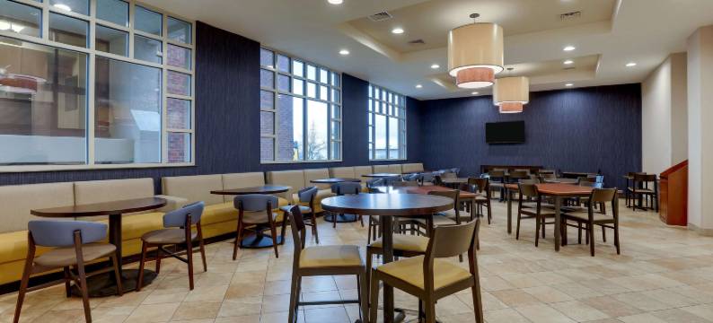 圣路易斯-阿诺德德鲁里套房酒店(Drury Inn & Suites St. Louis Arnold)图片