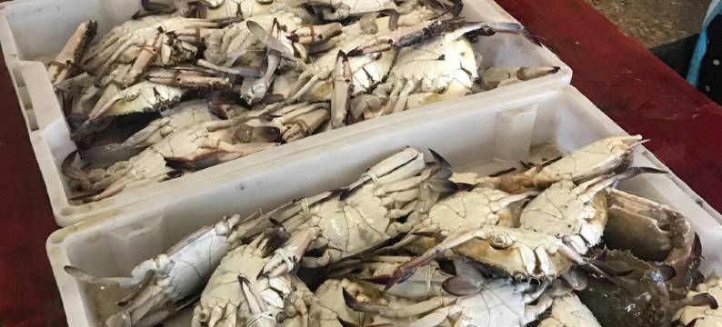 朱海燕HL公寓(红九线分店)图片