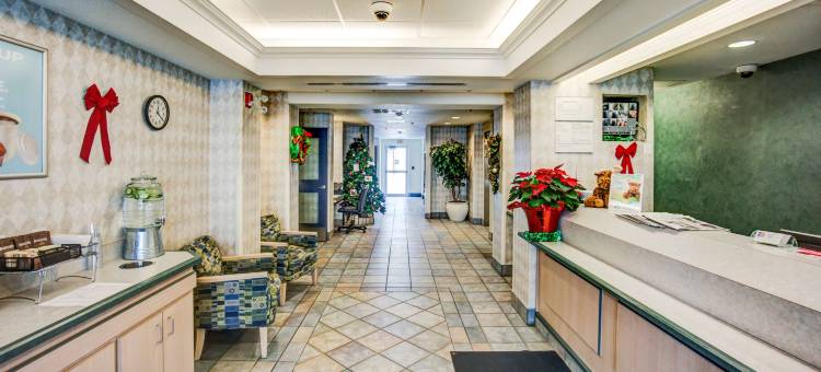 红鹿6号汽车旅馆(Motel 6 Red Deer, AB)图片